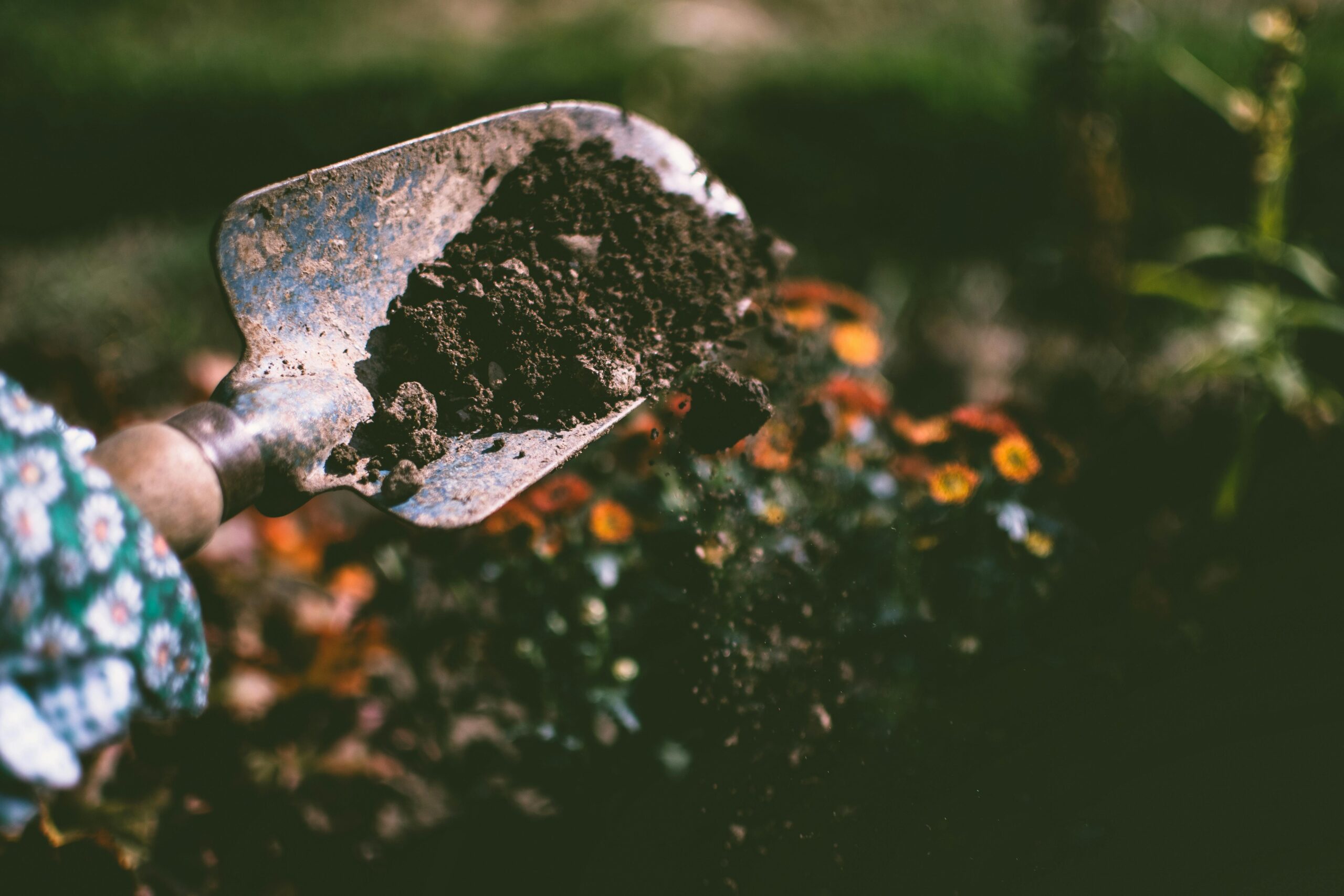 Photo by Lisa Fotios: https://www.pexels.com/photo/person-digging-on-soil-using-garden-shovel-1301856/