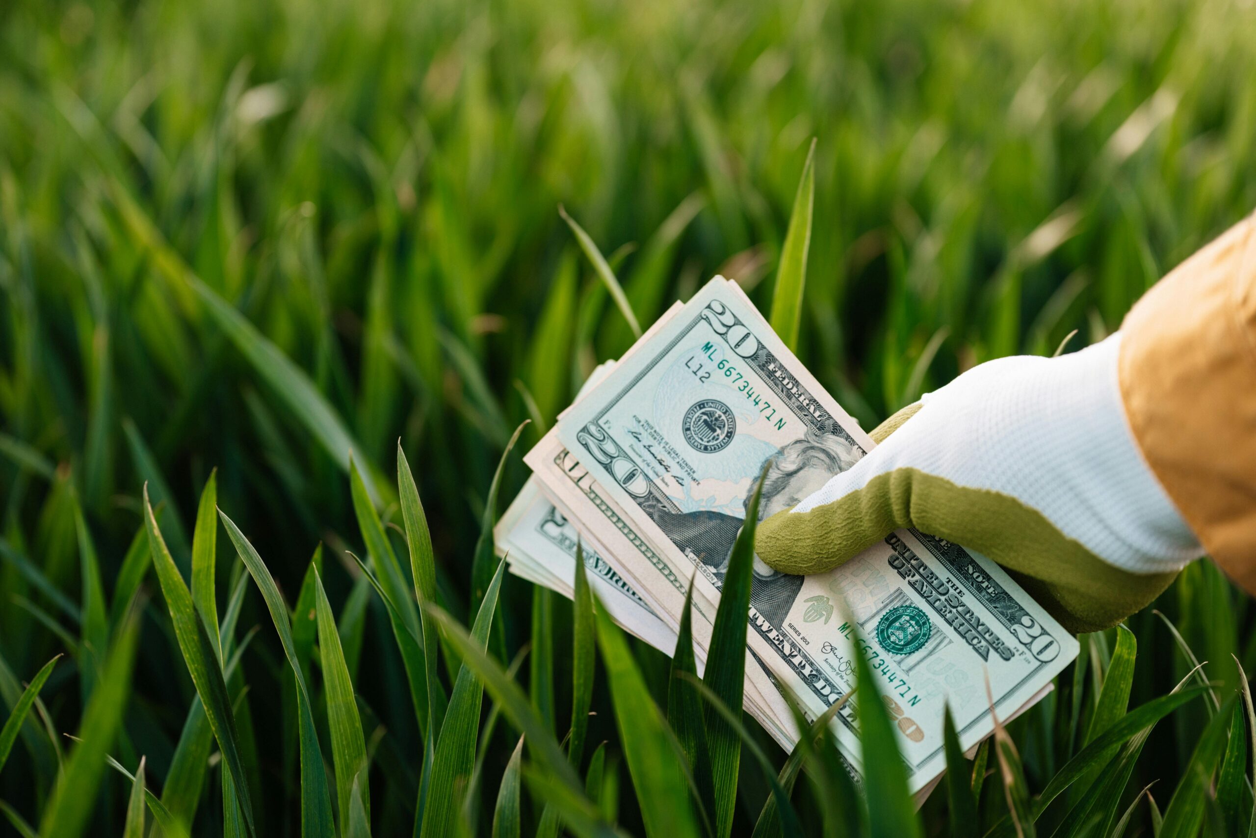 Photo by Photo Source: Kaboompics.com: https://www.pexels.com/photo/crop-unrecognizable-gardener-showing-pile-of-american-dollars-above-grass-4386236/
