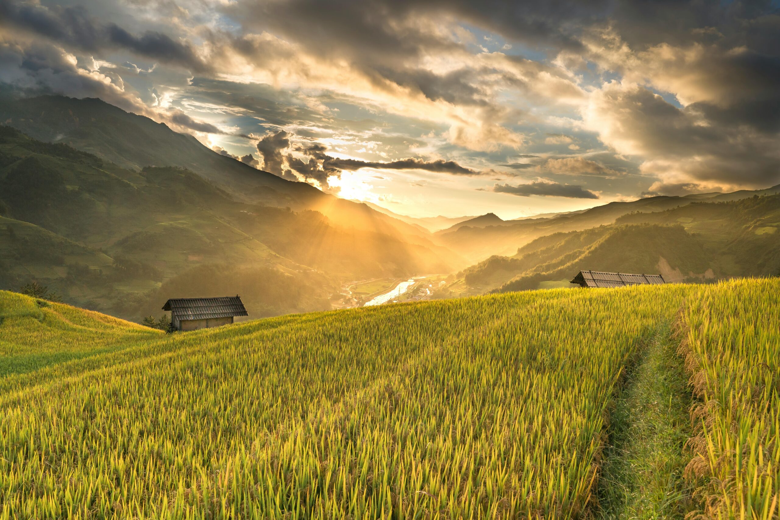 Photo by Quang Nguyen Vinh: https://www.pexels.com/photo/green-field-near-houses-2165688/
