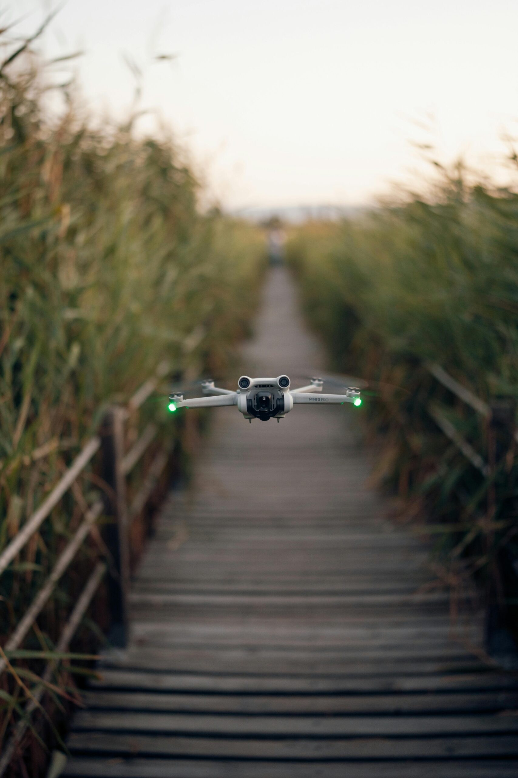 Photo by Tahir Osman: https://www.pexels.com/photo/a-drone-flying-over-a-boardwalk-18053534/